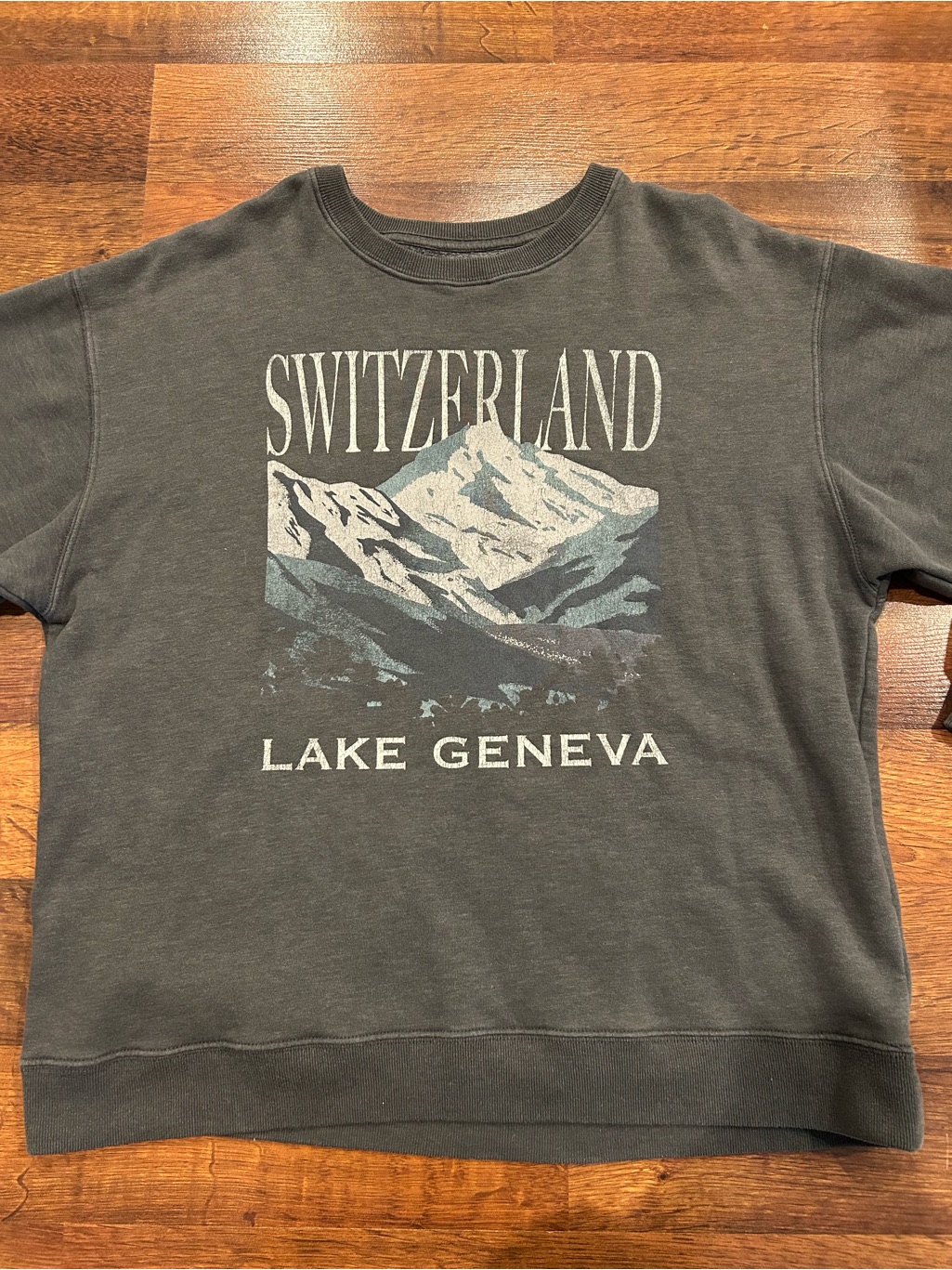 Hollister Gray Switzerland Lake Geneva Sweatshirt Womens Medium Crewneck